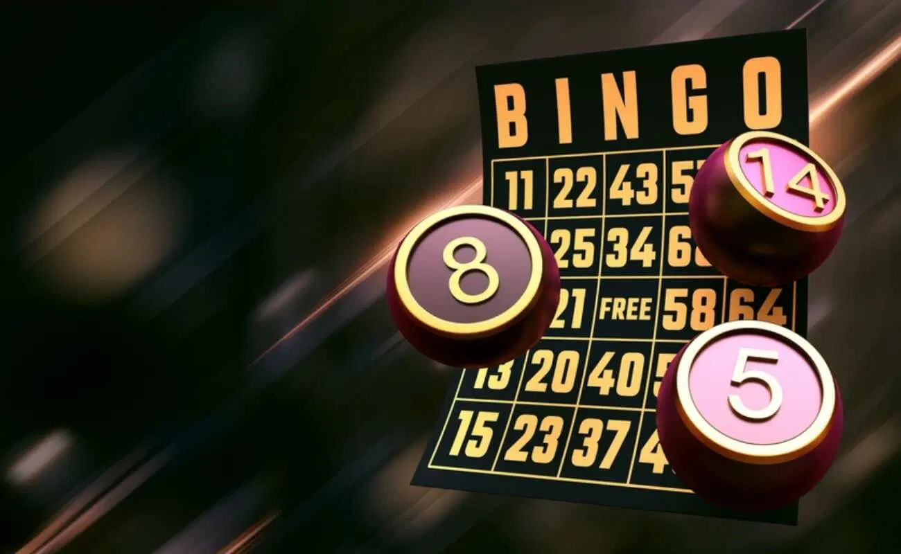 777PUB bingo